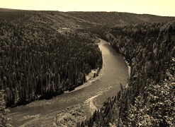 Sepia
