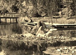 Szary + Sepia