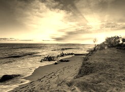 Sepia