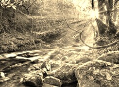 Sepia