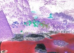 Negatyw