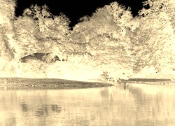 Sepia + Negatyw