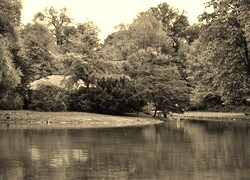 Sepia