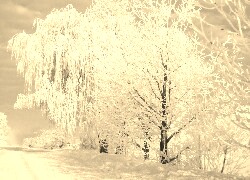 Szary + Sepia