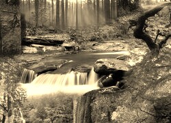 Szary + Sepia