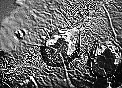 Skamielina