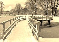 Szary + Sepia