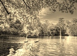 Sepia
