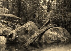 Szary + Sepia