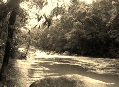 Szary + Sepia
