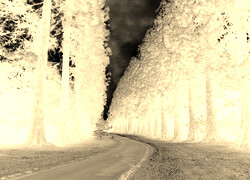 Sepia + Negatyw