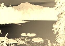 Sepia + Negatyw