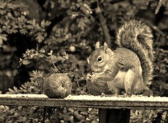 Sepia