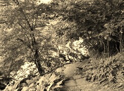 Szary + Sepia