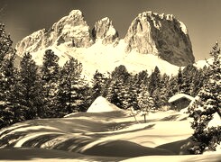 Szary + Sepia