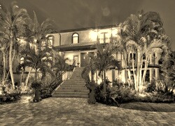 Szary + Sepia