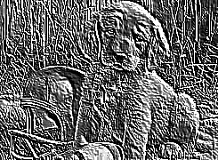 Skamielina