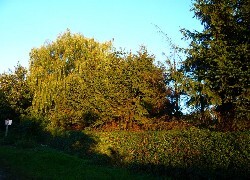 Oryginalny obrazek