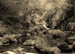 Sepia