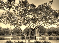 Szary + Sepia