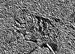 Skamielina
