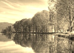 Sepia