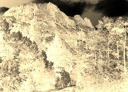 Sepia + Negatyw