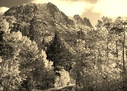 Szary + Sepia
