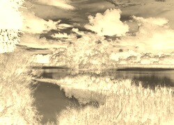 Sepia + Negatyw