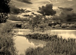 Szary + Sepia