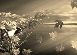 Sepia