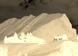 Sepia + Negatyw
