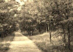 Szary + Sepia