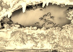 Sepia + Negatyw