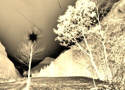 Sepia + Negatyw