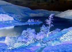 Negatyw