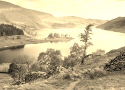 Szary + Sepia