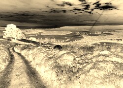 Sepia + Negatyw