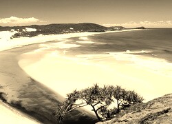 Szary + Sepia