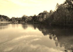 Szary + Sepia