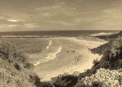 Sepia