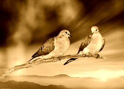 Sepia