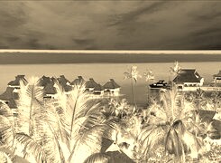 Sepia + Negatyw