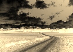 Sepia + Negatyw