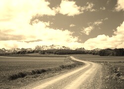 Szary + Sepia