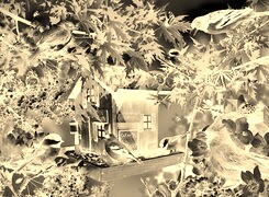 Sepia + Negatyw
