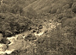 Sepia