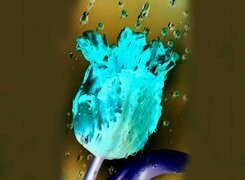 Negatyw