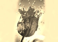 Szary + Sepia