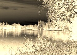 Sepia + Negatyw